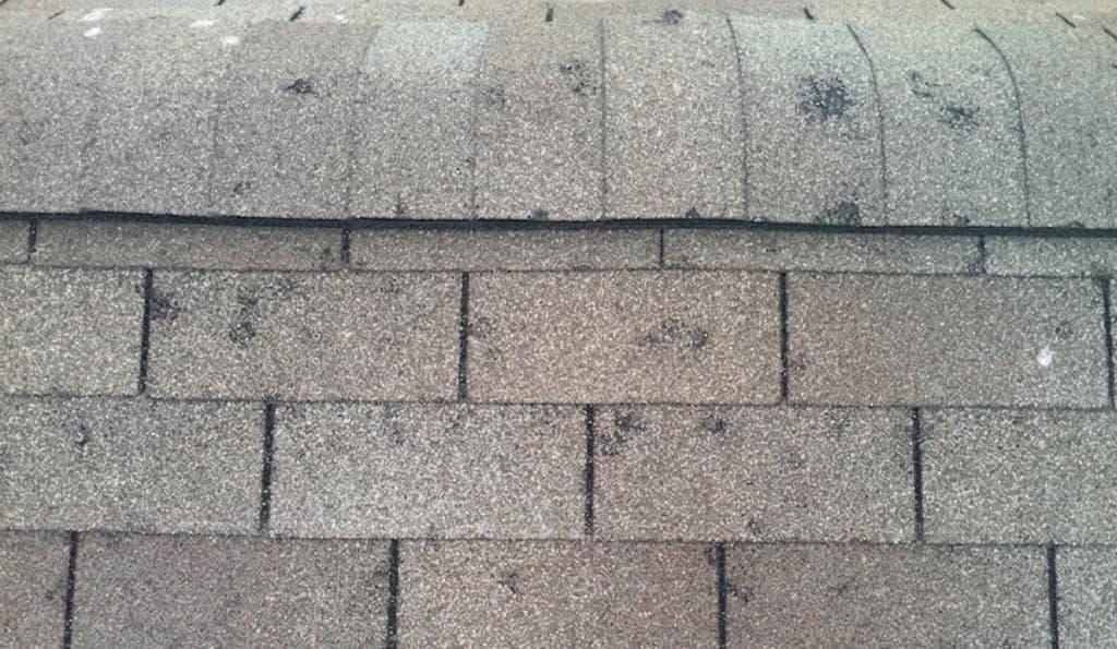 Close-up of asphalt shingles with circular hail bruises and granule loss